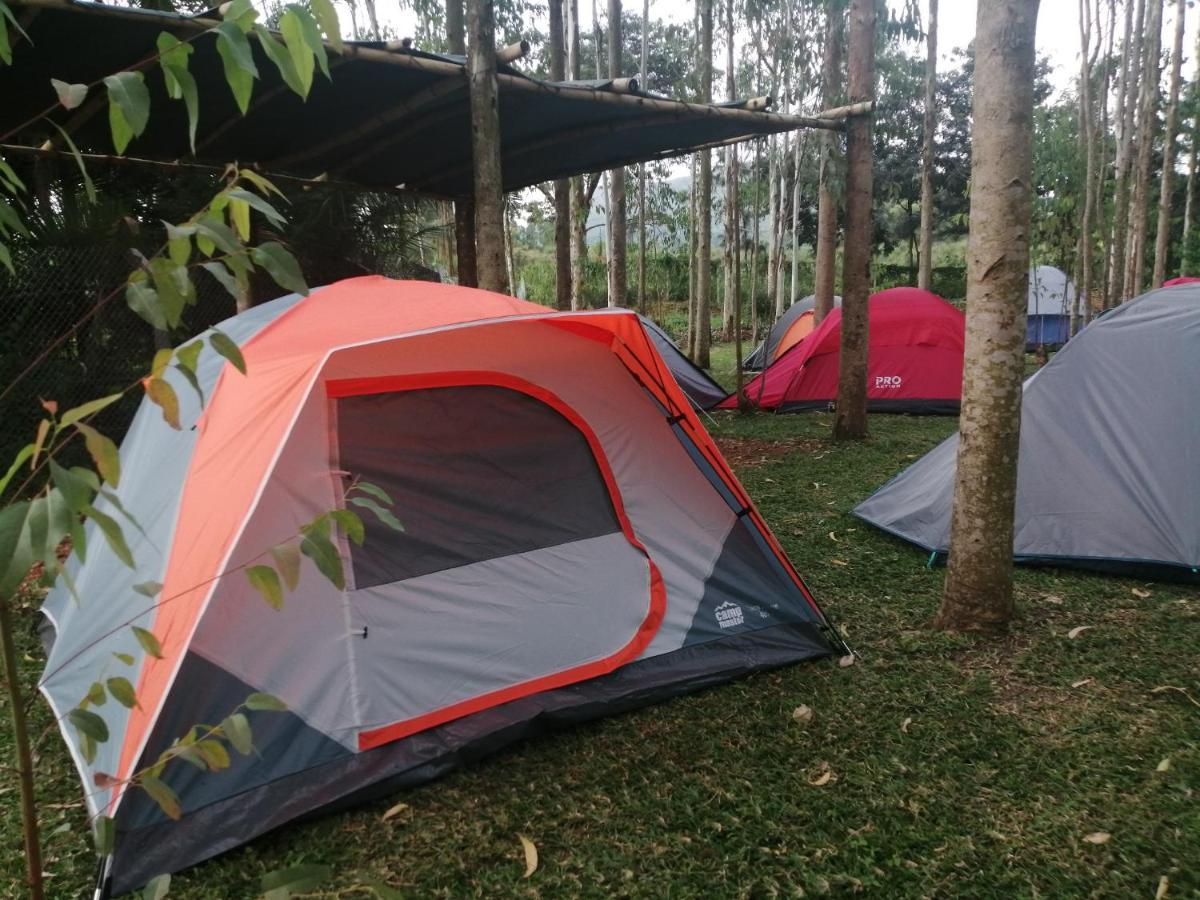 Murchison Backpackers Masindi Exteriör bild