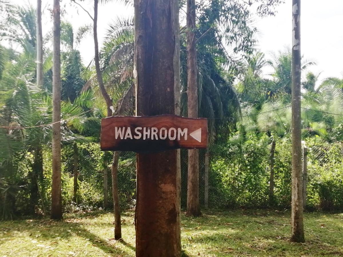 Murchison Backpackers Masindi Exteriör bild