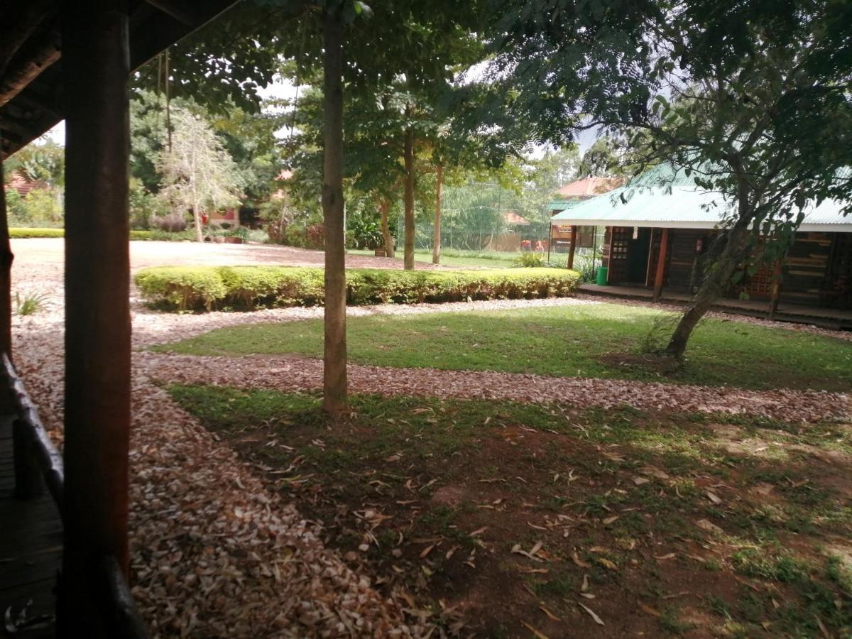 Murchison Backpackers Masindi Exteriör bild