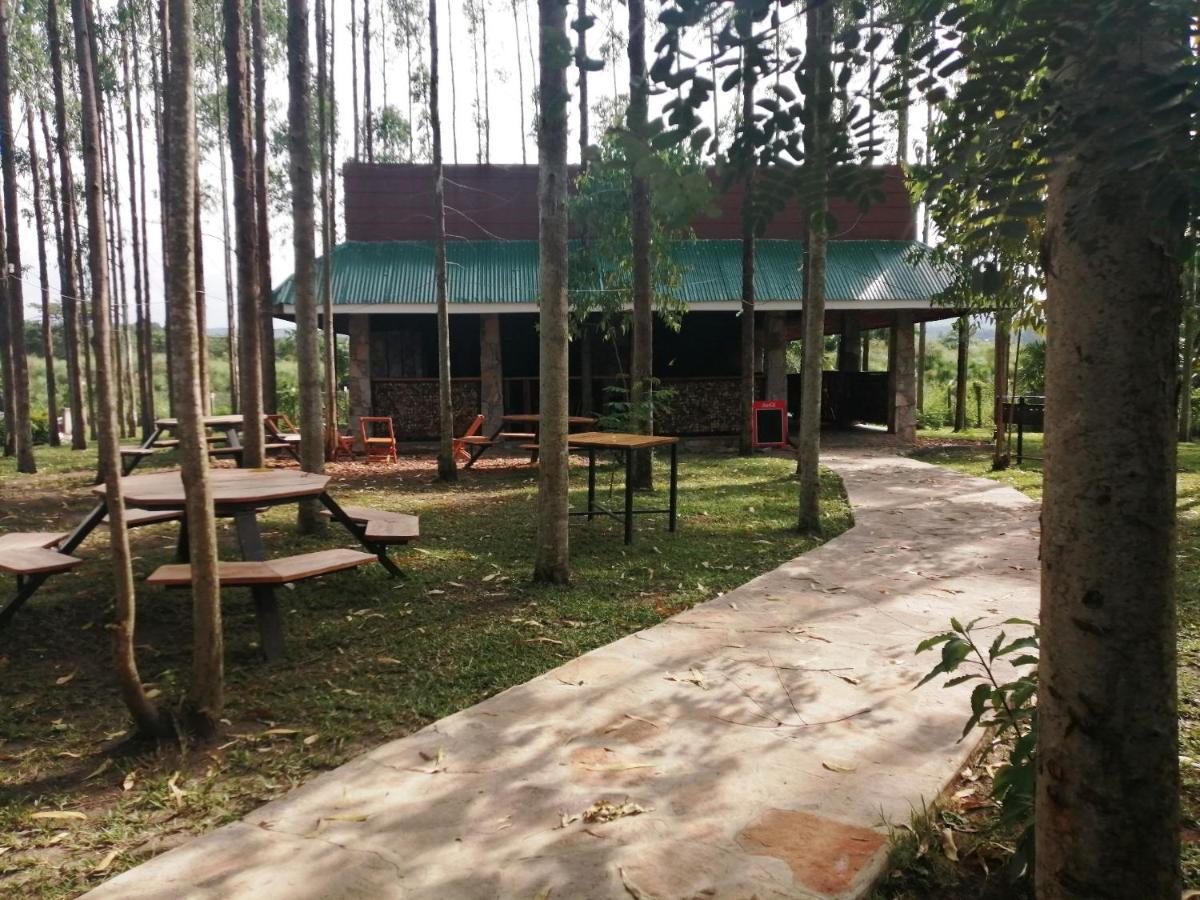 Murchison Backpackers Masindi Exteriör bild