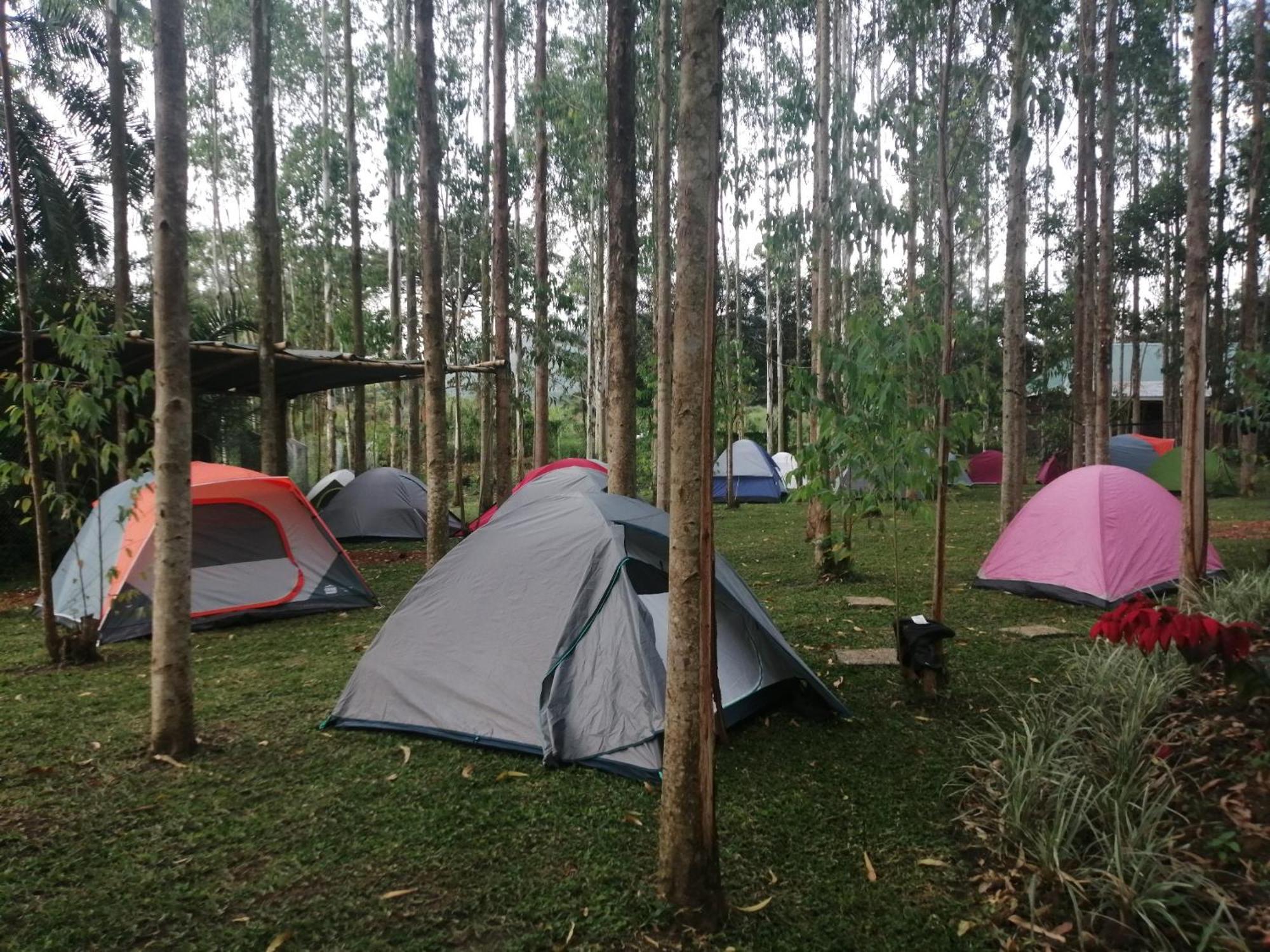 Murchison Backpackers Masindi Exteriör bild
